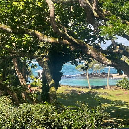 Ocean View Mauna Loa Shores Kai Ekahi #201 Next To Carlsmith Beach Park Hilo Hi Aparthotel Exterior photo