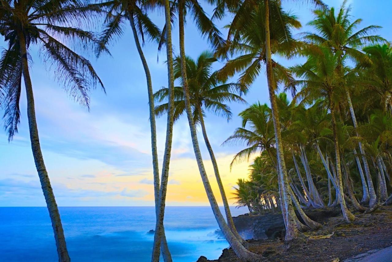 Ocean View Mauna Loa Shores Kai Ekahi #201 Next To Carlsmith Beach Park Hilo Hi Aparthotel Exterior photo